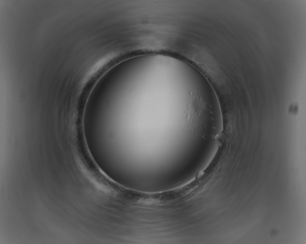 X0000093560440200710151110