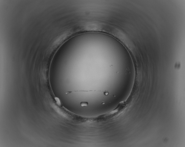 X0000093560441200710151110