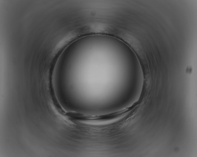 X0000093560442200710151110