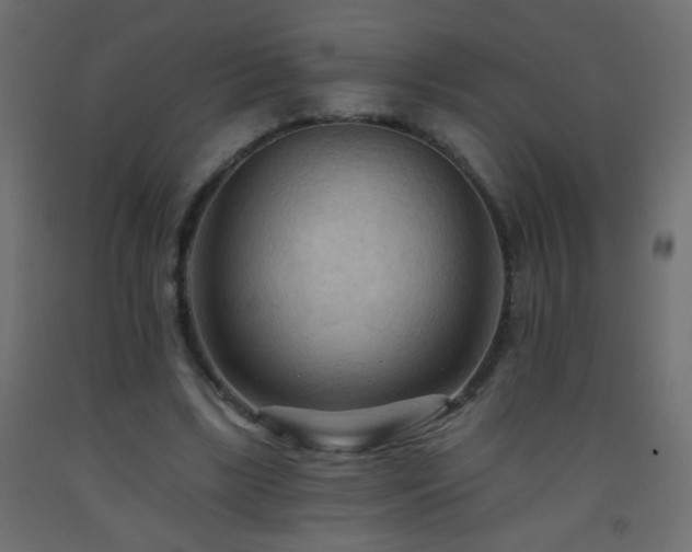 X0000093560443200710151110