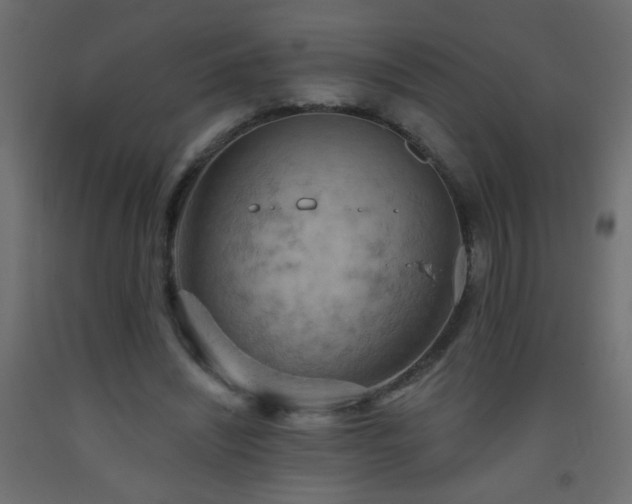 X0000093560444200710151110