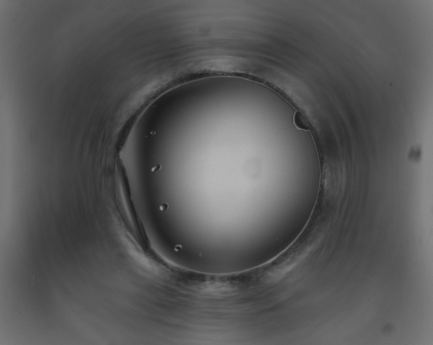 X0000093560445200710151110