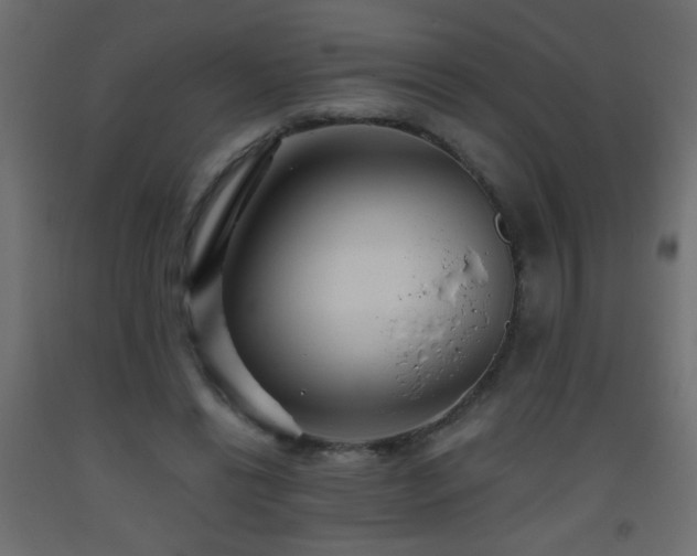 X0000093560446200710151110