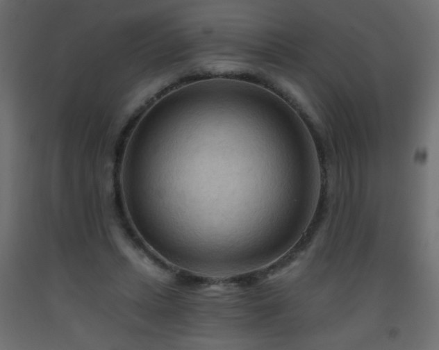 X0000093560447200710151110