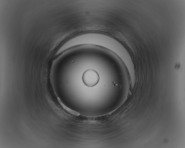 X0000093560448200710151110