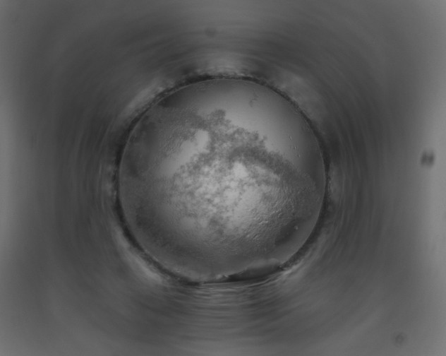 X0000093560449200710151110