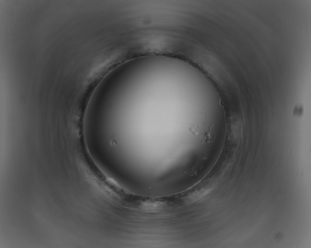 X0000093560450200710151110