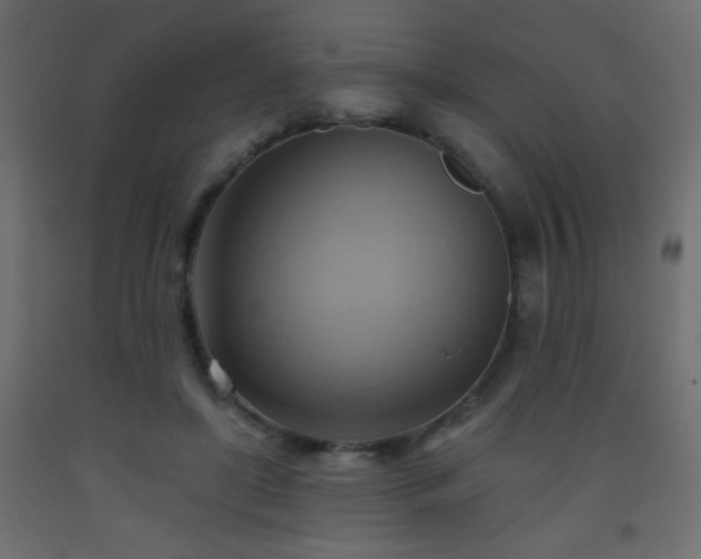 X0000093560451200710151110