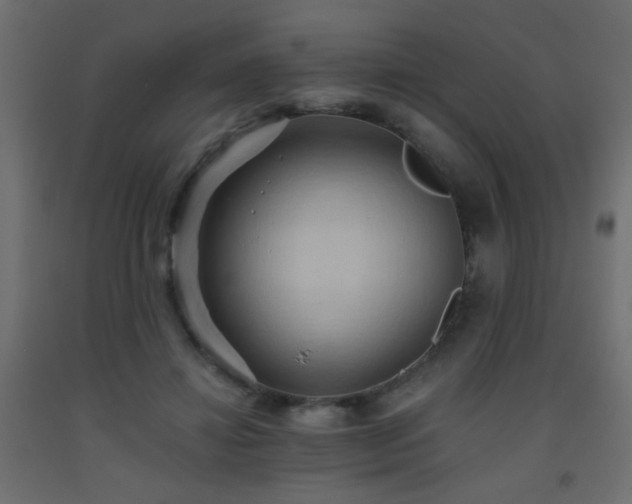 X0000093560452200710151110