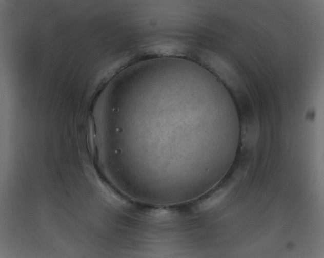 X0000093560453200710151110