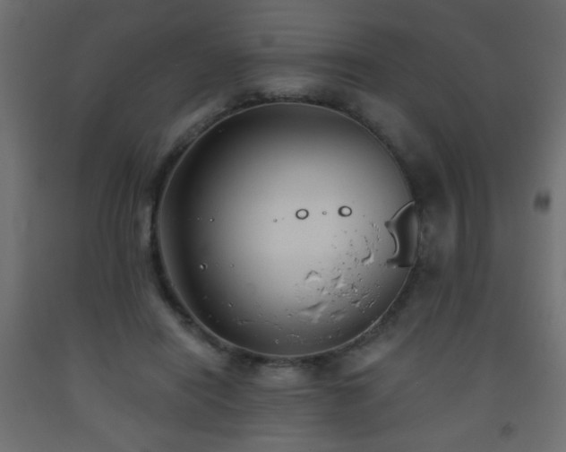 X0000093560454200710151110