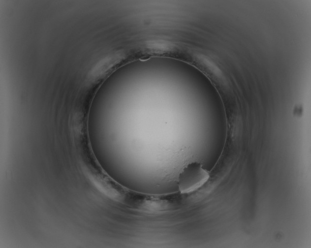 X0000093560455200710151110