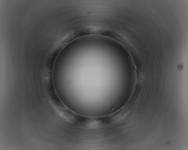 X0000093560456200710151110