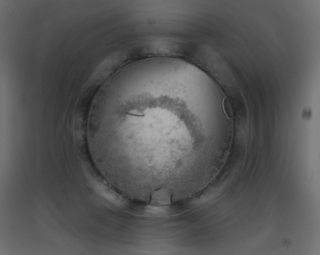 X0000093560457200710151110