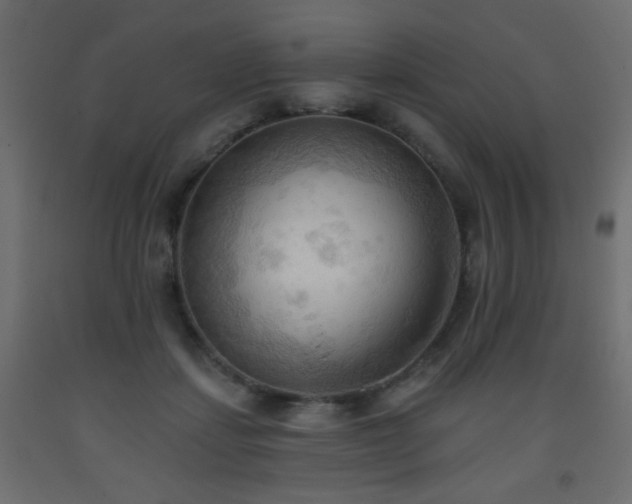 X0000093560459200710151110