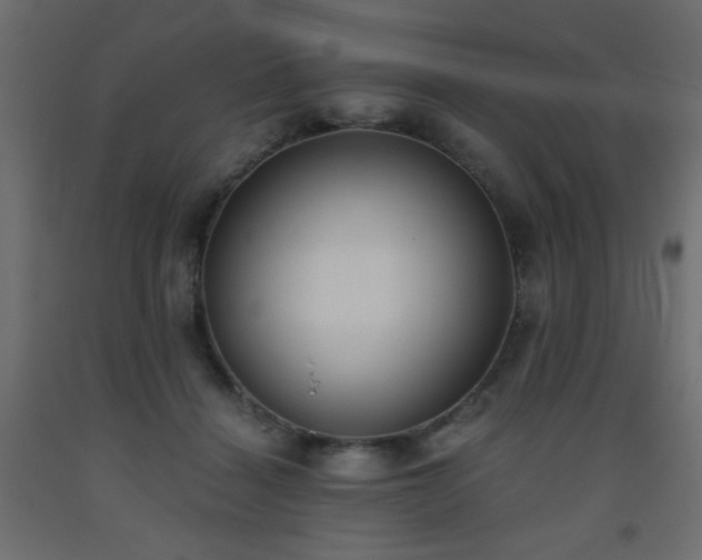 X0000093560460200710151110