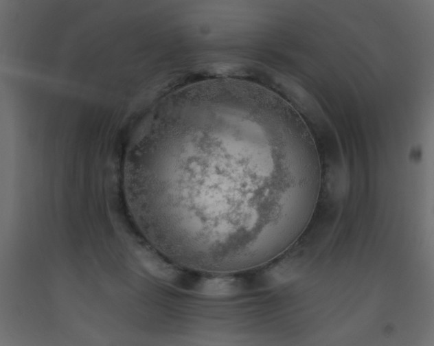 X0000093560461200710151110