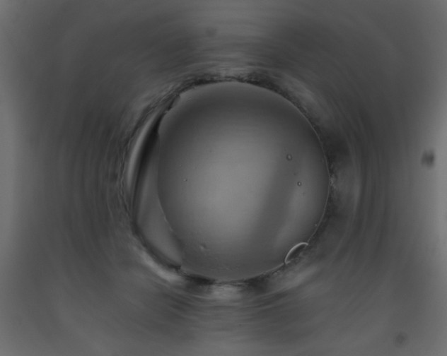 X0000093560462200710151110