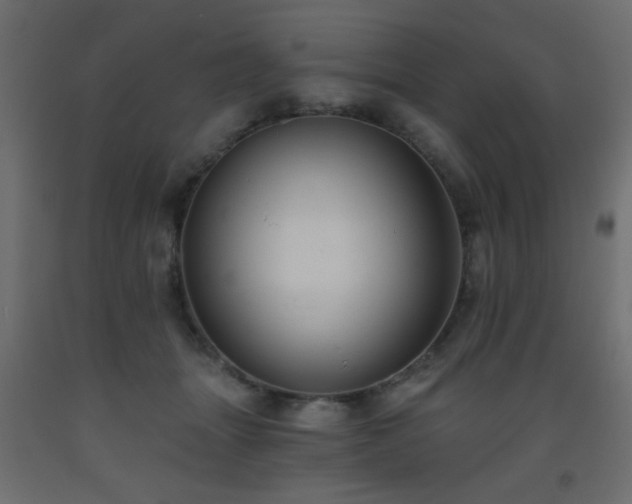 X0000093560463200710151110