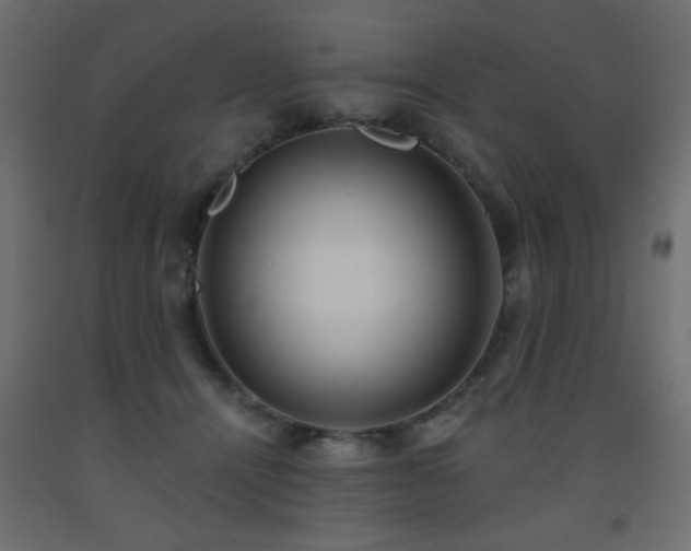 X0000093560464200710151110