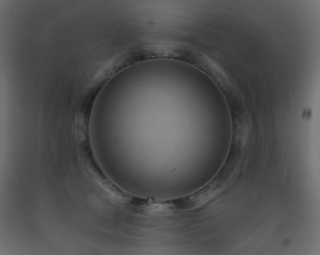 X0000093560465200710151110