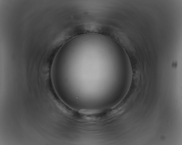 X0000093560466200710151110
