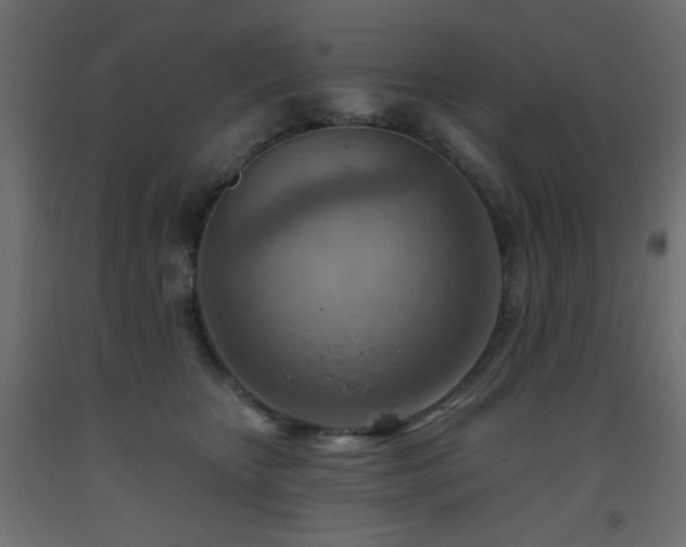 X0000093560467200710151110