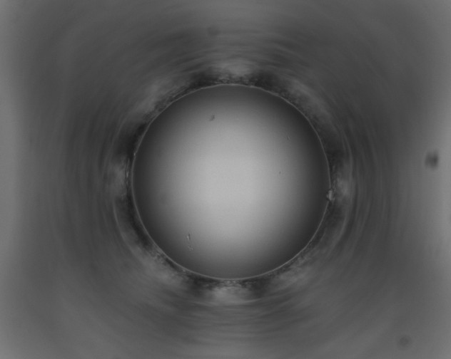 X0000093560468200710151110