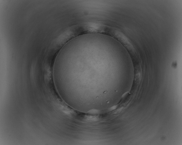 X0000093560469200710151110