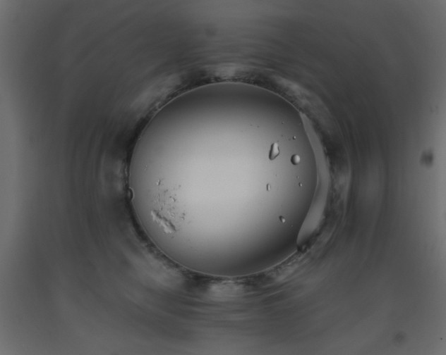 X0000093560470200710151110