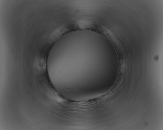 X0000093560471200710151110