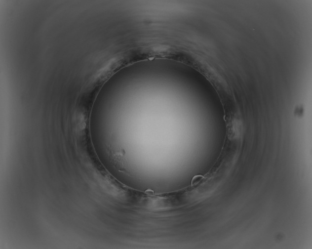 X0000093560472200710151111