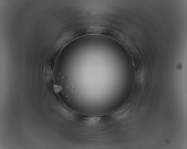 X0000093560474200710151111