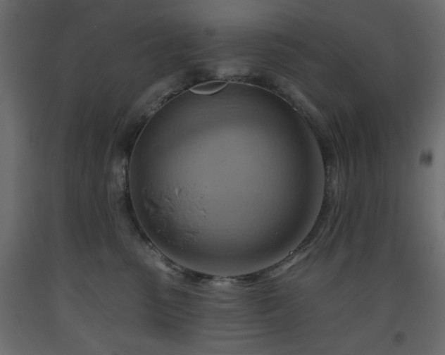 X0000093560475200710151111
