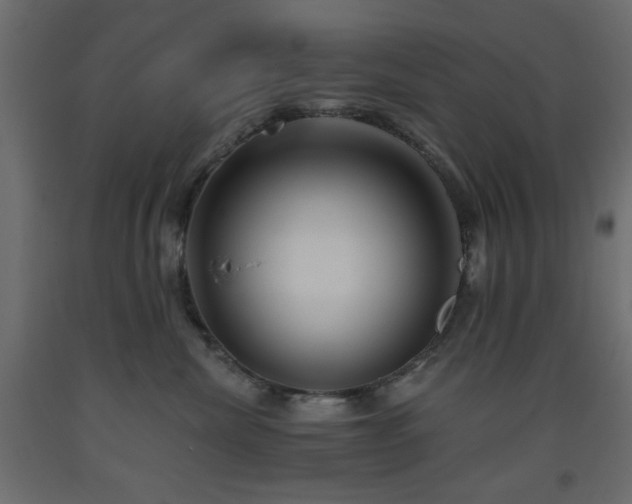 X0000093560476200710151111