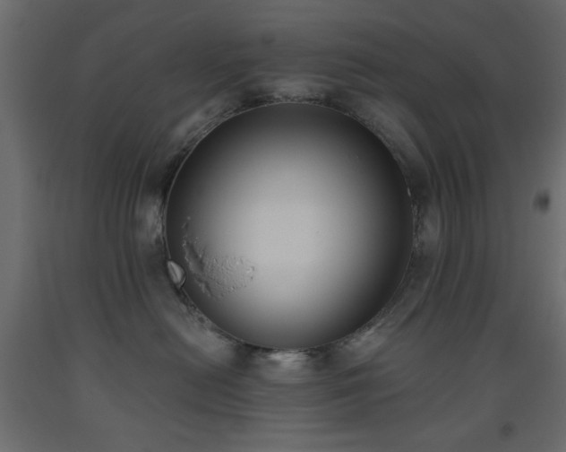 X0000093560478200710151111
