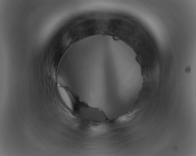 X0000093560479200710151111