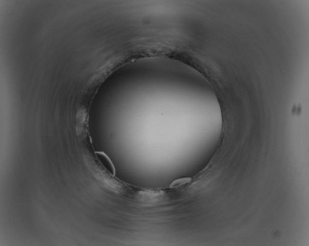 X0000093560480200710151111