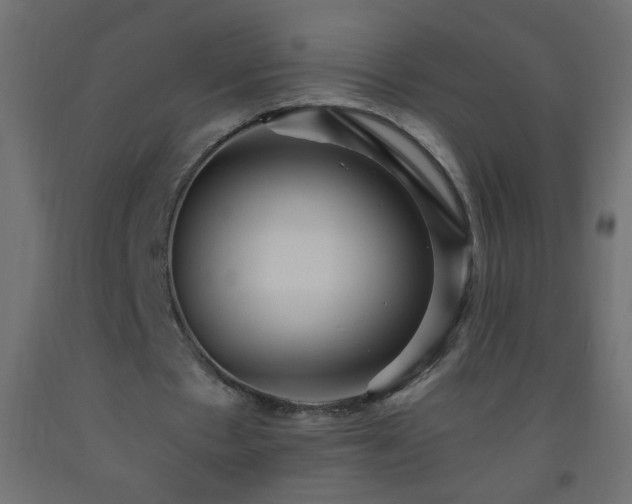 X0000093560481200710151110