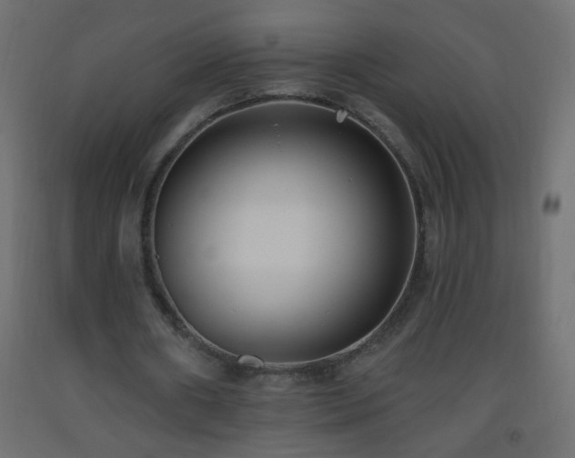 X0000093560482200710151110