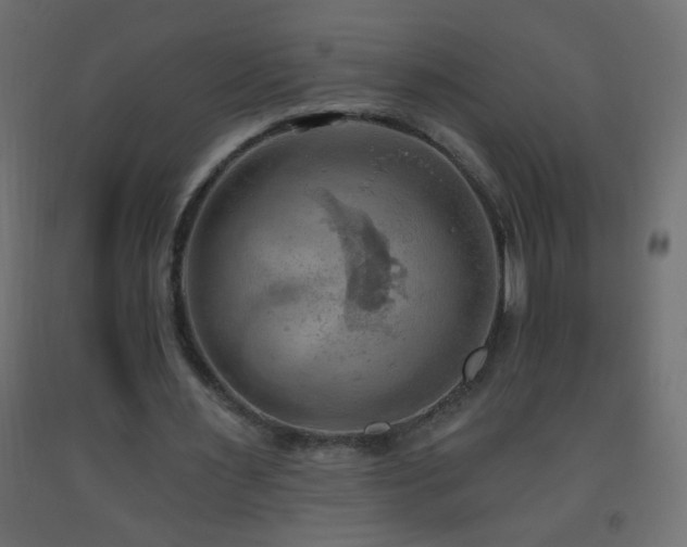 X0000093560483200710151110