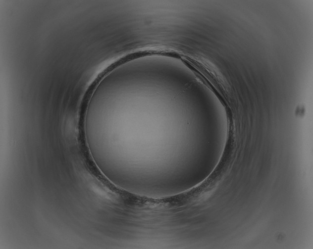 X0000093560484200710151110