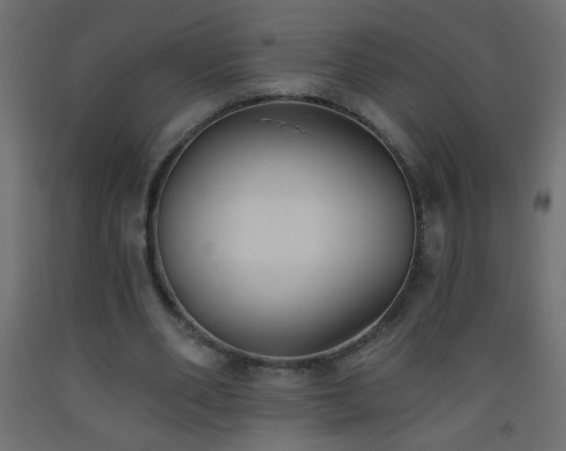 X0000093560486200710151110