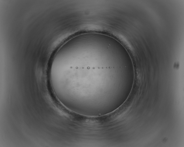 X0000093560487200710151110