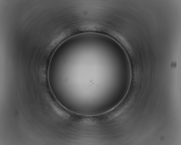 X0000093560489200710151110