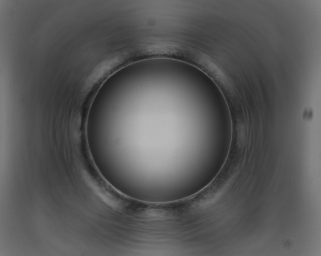 X0000093560490200710151110