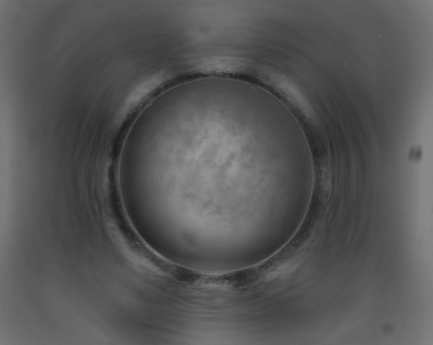 X0000093560491200710151110