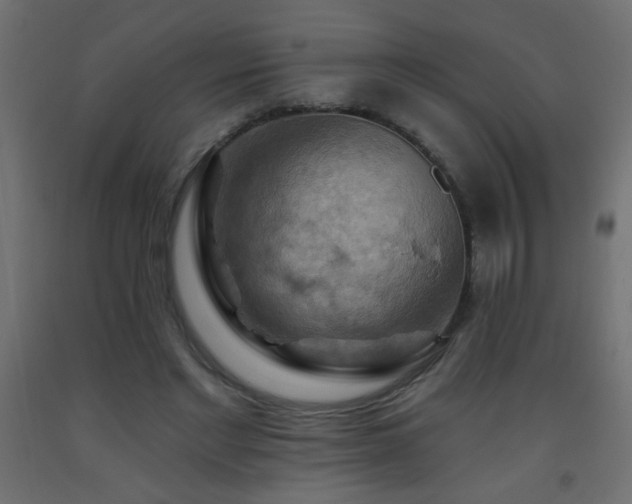 X0000093560493200710151110