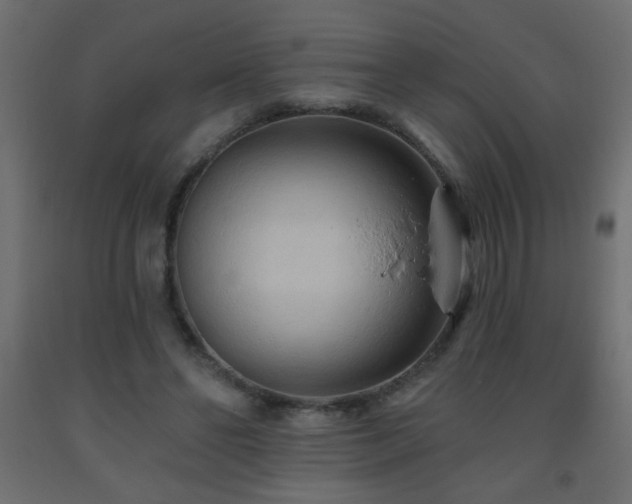 X0000093560494200710151110