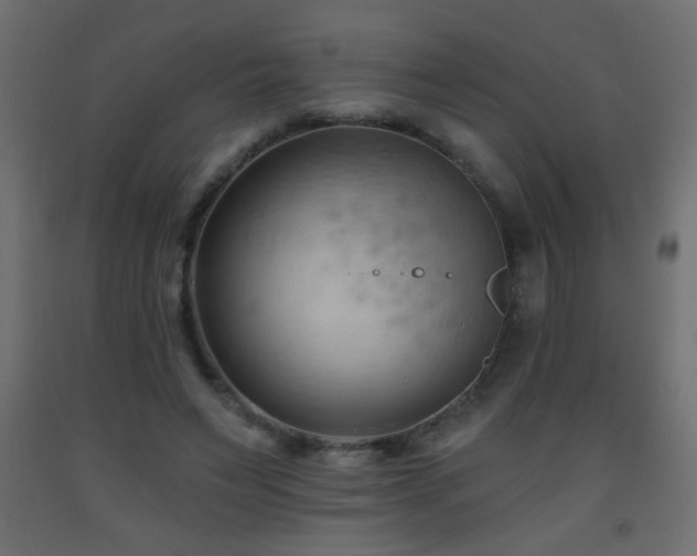 X0000093560495200710151110